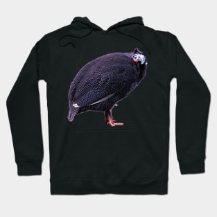 goose Hoodie